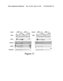 COMPOSITIONS FOR TREATING OR PREVENTING OBESITY AND INSULIN RESISTANCE DISORDERS diagram and image