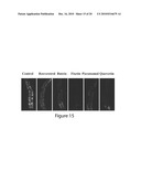 COMPOSITIONS FOR TREATING OR PREVENTING OBESITY AND INSULIN RESISTANCE DISORDERS diagram and image