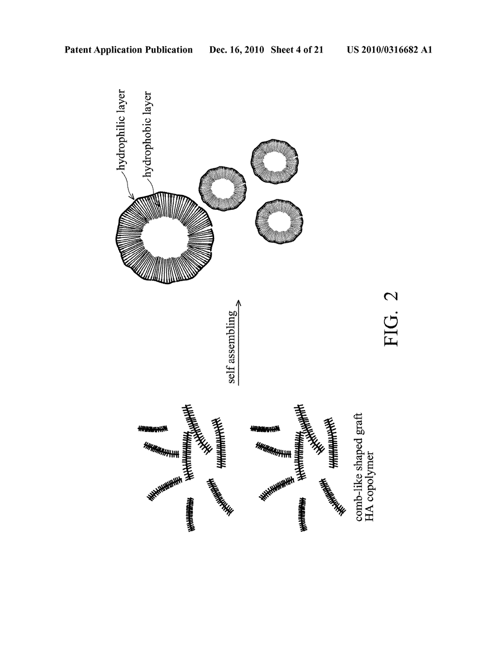 Biodegradable Hyaluronic Acid Derivative, Biodegradable Polymeric Micelle Composition and Pharmaceutical or Bioactive Composition - diagram, schematic, and image 05