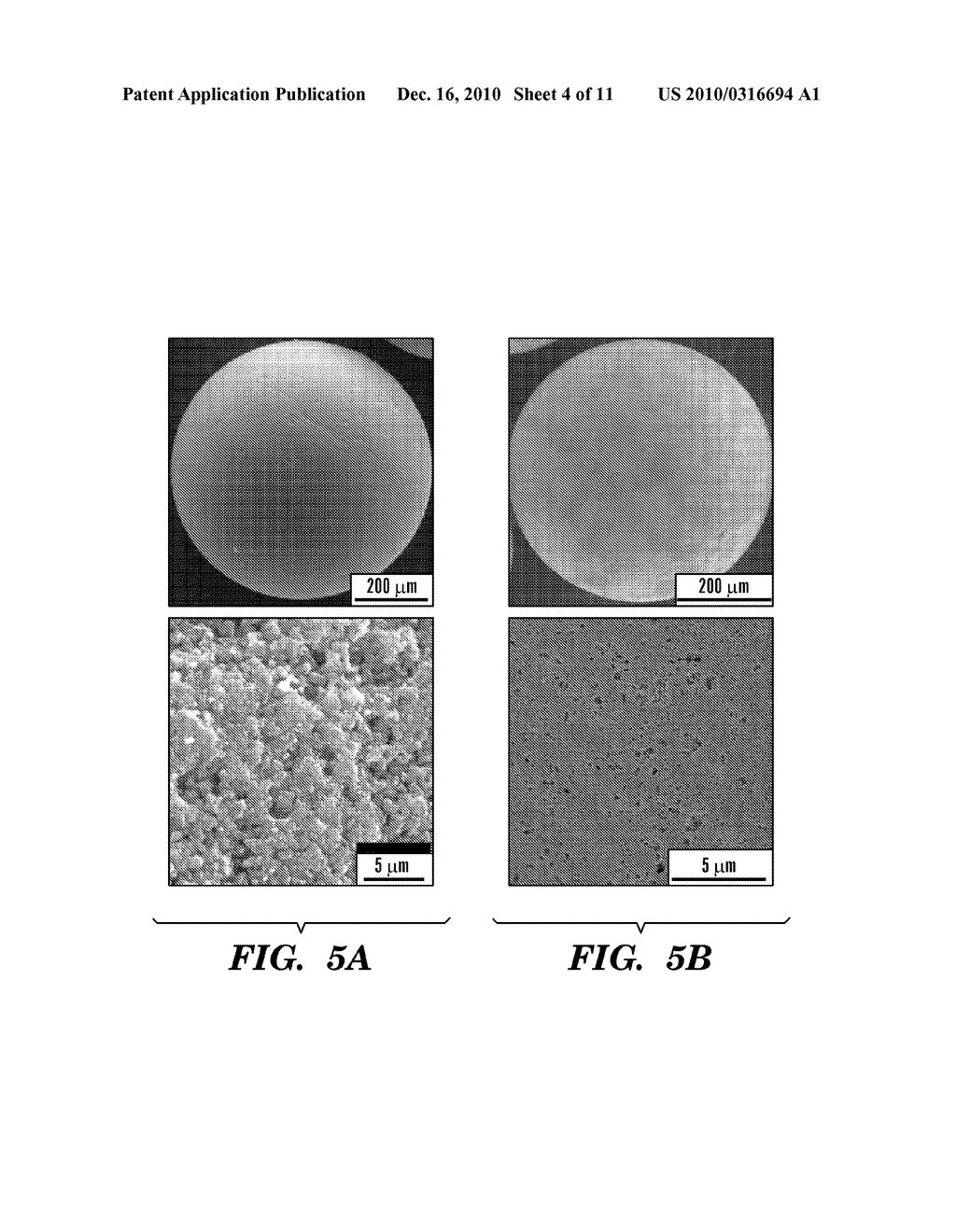 NOVEL FILTER COMPOSITES FOR DRUG DETOXIFICATION - diagram, schematic, and image 05