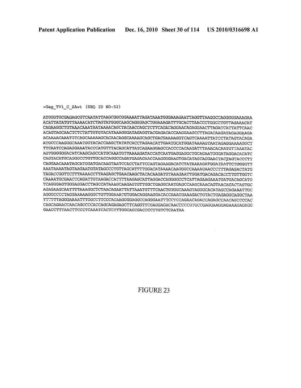 POLYNUCLEOTIDES ENCODING ANTIGENIC HIV TYPE C POLYPEPTIDES, POLYPEPTIDES AND USES THEREOF - diagram, schematic, and image 31