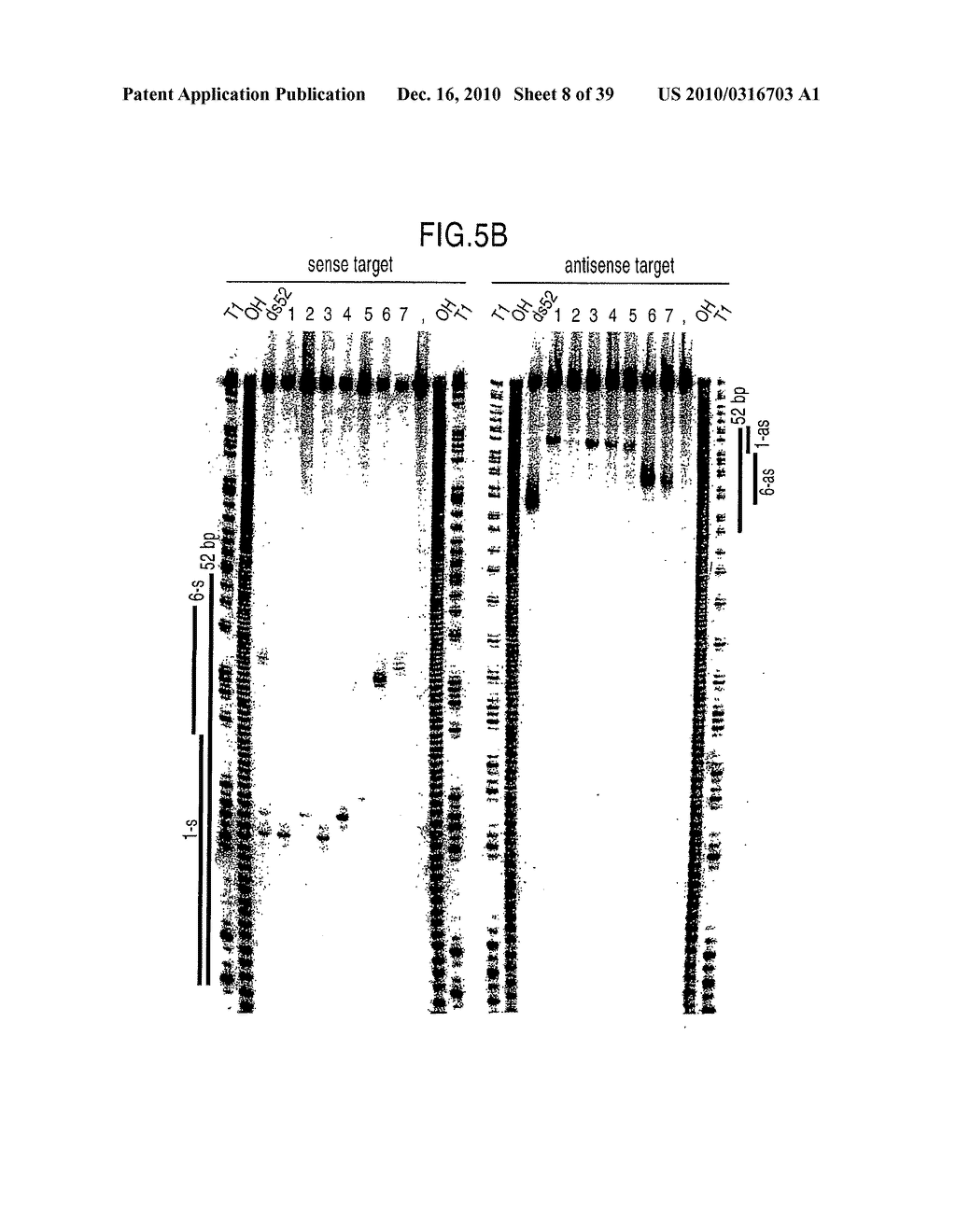 RNA INTERFERENCE MEDIATING SMALL RNA MOLECULES - diagram, schematic, and image 09