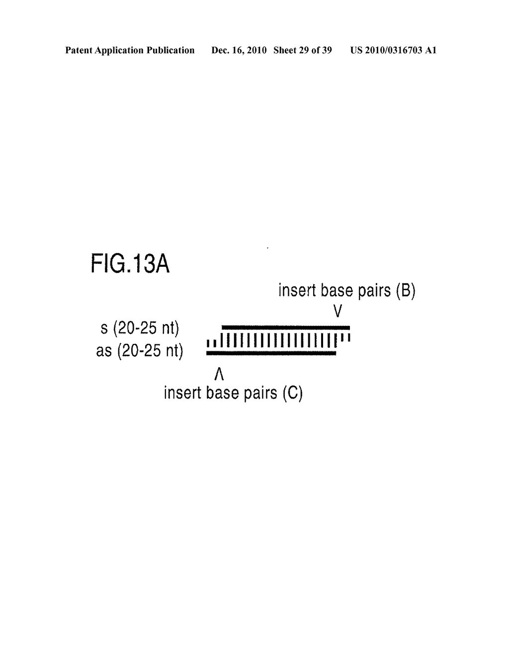 RNA INTERFERENCE MEDIATING SMALL RNA MOLECULES - diagram, schematic, and image 30