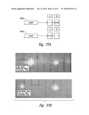 COMPOSITIONS AND METHODS FOR TREATING INFLAMMATION diagram and image