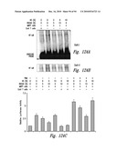 COMPOSITIONS AND METHODS FOR TREATING INFLAMMATION diagram and image