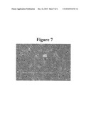 REDUCTION OF FLAKE-LIKE AGGREGATION IN NANOPARTICULATE ACTIVE AGENT COMPOSITIONS diagram and image