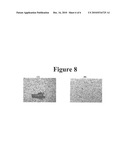 REDUCTION OF FLAKE-LIKE AGGREGATION IN NANOPARTICULATE ACTIVE AGENT COMPOSITIONS diagram and image