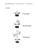 METHODS OF INHIBITING, PREVENTING, KILLING AND/OR REPELLING INSECTS USING SIMULATED BLENDS OF CHENOPODIUM EXTRACTS diagram and image