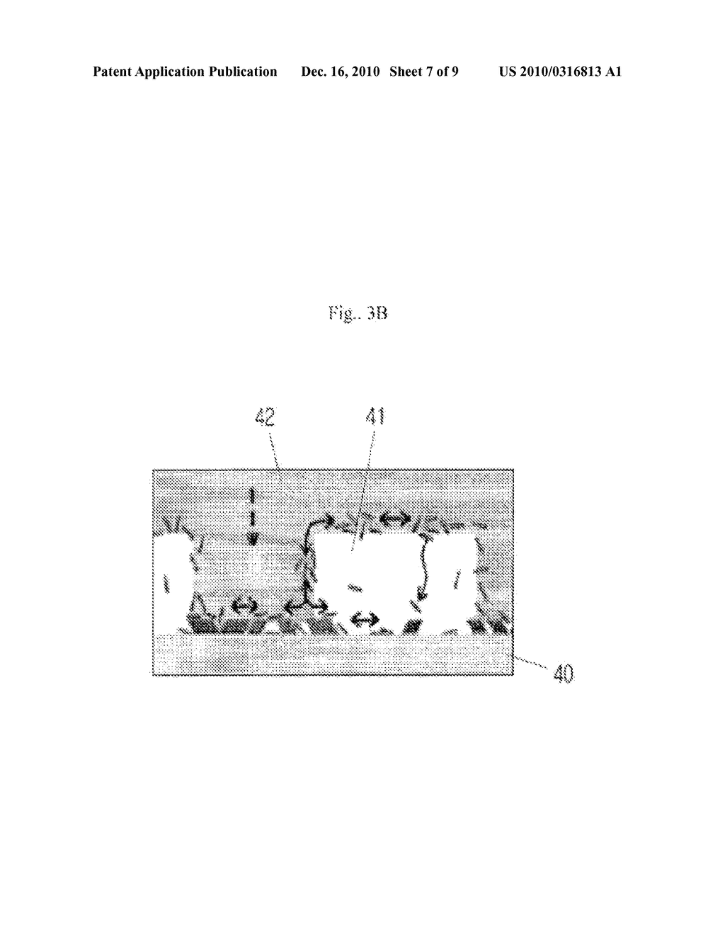 CARBON NANO-TUBE FILM WITH A TRANSFORMED SUBSTRATE STRUCTURE AND A MANUFACTURING METHOD THEREOF - diagram, schematic, and image 08