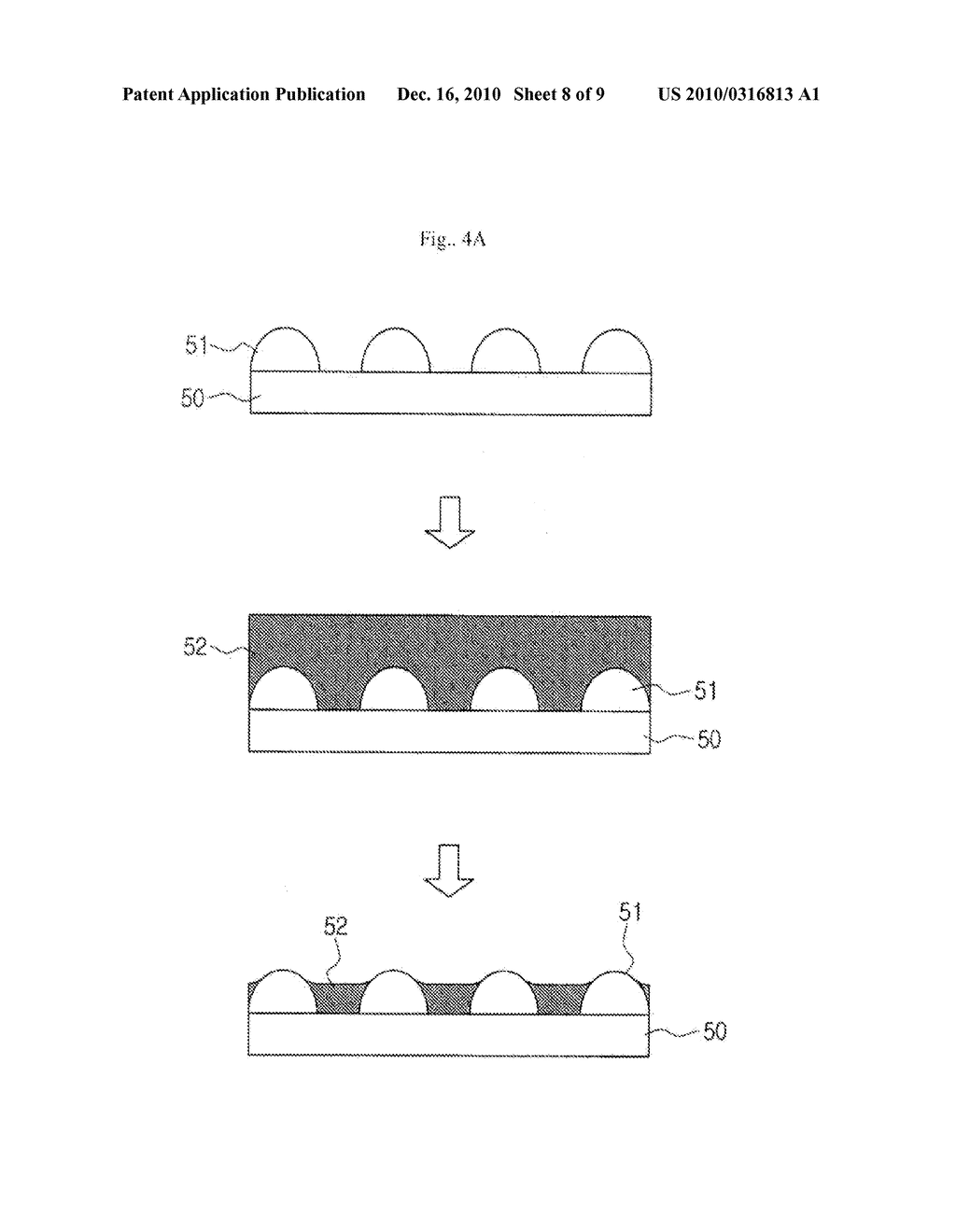 CARBON NANO-TUBE FILM WITH A TRANSFORMED SUBSTRATE STRUCTURE AND A MANUFACTURING METHOD THEREOF - diagram, schematic, and image 09