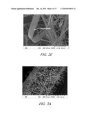 ONE-DIMENSIONAL METAL NANOSTRUCTURES diagram and image