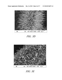 ONE-DIMENSIONAL METAL NANOSTRUCTURES diagram and image