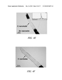 ONE-DIMENSIONAL METAL NANOSTRUCTURES diagram and image