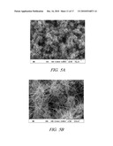 ONE-DIMENSIONAL METAL NANOSTRUCTURES diagram and image