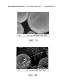 ONE-DIMENSIONAL METAL NANOSTRUCTURES diagram and image