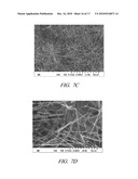 ONE-DIMENSIONAL METAL NANOSTRUCTURES diagram and image