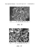 ONE-DIMENSIONAL METAL NANOSTRUCTURES diagram and image