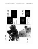 METHODS AND KITS FOR DIAGNOSING LUNG CANCER diagram and image