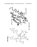 Massive parallel method for decoding DNA and RNA diagram and image