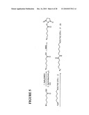 Massive parallel method for decoding DNA and RNA diagram and image