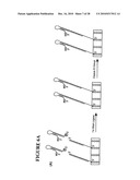 Massive parallel method for decoding DNA and RNA diagram and image