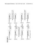 Massive parallel method for decoding DNA and RNA diagram and image