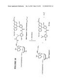 Massive parallel method for decoding DNA and RNA diagram and image