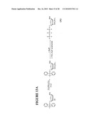 Massive parallel method for decoding DNA and RNA diagram and image