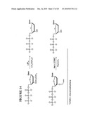 Massive parallel method for decoding DNA and RNA diagram and image