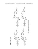 Massive parallel method for decoding DNA and RNA diagram and image