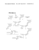 Massive parallel method for decoding DNA and RNA diagram and image