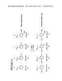 Massive parallel method for decoding DNA and RNA diagram and image