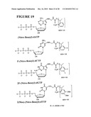 Massive parallel method for decoding DNA and RNA diagram and image