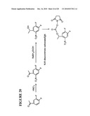 Massive parallel method for decoding DNA and RNA diagram and image