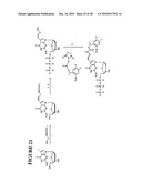 Massive parallel method for decoding DNA and RNA diagram and image