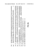 VMP-Like Sequences Of Pathogenic Borrelia diagram and image