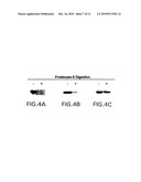 VMP-Like Sequences Of Pathogenic Borrelia diagram and image