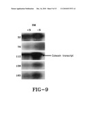 MOLECULAR APPROACHES FOR THE OPTIMIZATION OF BIOFUEL PRODUCTION diagram and image