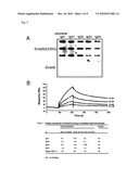 METHODS AND KITS FOR DISSOCIATING FCGAMMA-RECEPTOR-IGG COMPLEXES AND FOR IGG PURIFICATION AND DETECTION diagram and image