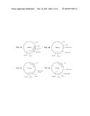 Compositions and methods for enhanced expression of recombinant polypeptides from a single vector using a peptide cleavage site diagram and image