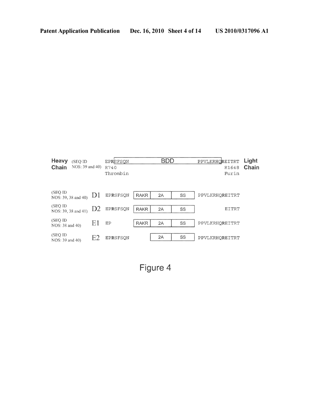 Compositions and methods for enhanced expression of recombinant polypeptides from a single vector using a peptide cleavage site - diagram, schematic, and image 05