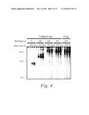 Methods and compositions for controlling efficacy of RNA silencing diagram and image