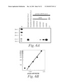 Methods and compositions for controlling efficacy of RNA silencing diagram and image