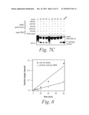 Methods and compositions for controlling efficacy of RNA silencing diagram and image