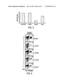 CD40 AGONIST ANTIBODY/TYPE 1 INTERFERON SYNERGISTIC ADJUVANT COMBINATION, CONJUGATES CONTAINING AND USE THEREOF AS A THERAPEUTIC TO ENHANCE CELLULAR IMMUNITY diagram and image