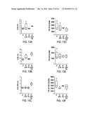 CD40 AGONIST ANTIBODY/TYPE 1 INTERFERON SYNERGISTIC ADJUVANT COMBINATION, CONJUGATES CONTAINING AND USE THEREOF AS A THERAPEUTIC TO ENHANCE CELLULAR IMMUNITY diagram and image