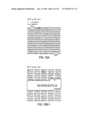 CD40 AGONIST ANTIBODY/TYPE 1 INTERFERON SYNERGISTIC ADJUVANT COMBINATION, CONJUGATES CONTAINING AND USE THEREOF AS A THERAPEUTIC TO ENHANCE CELLULAR IMMUNITY diagram and image