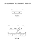 CD40 AGONIST ANTIBODY/TYPE 1 INTERFERON SYNERGISTIC ADJUVANT COMBINATION, CONJUGATES CONTAINING AND USE THEREOF AS A THERAPEUTIC TO ENHANCE CELLULAR IMMUNITY diagram and image