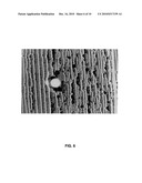 Vertical Coffee-Stain Method For Forming Self-Organized Line Structures diagram and image