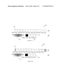 APPARATUS AND METHOD FOR INTERWORKING BETWEEN MULTIPLE FREQUENCY BAND MODES diagram and image